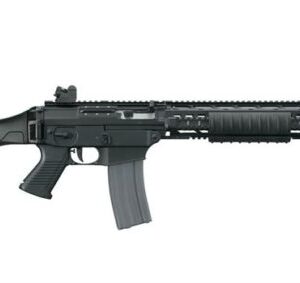 SIG 556