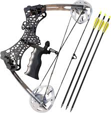 Bow And Arrow For Sale