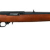 Ruger 10/22 Rifle